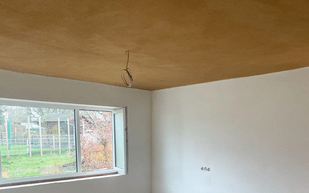 Unfertiger Raum mit verputzten Wänden und Decke, Fenster mit Blick ins Grüne
