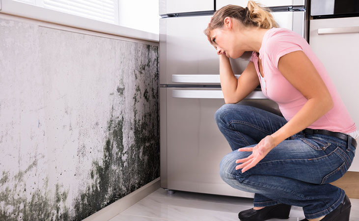 Mold_prophylaxis_egger_website